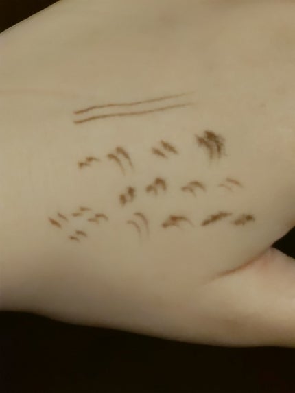 tomei 下まつげ二股ライナーのクチコミ「《きれいにしたまつげがかける!》
こんにちは!みずきです
今回はtomei下まつげ二股ライナ.....」(3枚目)