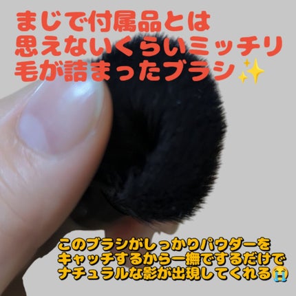 アートクラスバイロダン シェーディング/too cool for school/シェーディングを使ったクチコミ(2枚目)