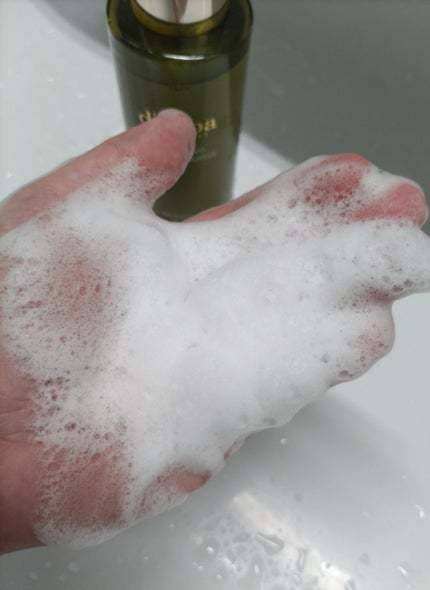 マイルドスキンバランシングヴィーガンクレンザー/ダルバ/洗顔フォームを使ったクチコミ(6枚目)