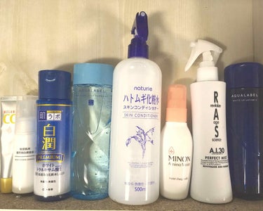 白潤プレミアム 薬用浸透美白化粧水/肌ラボ/化粧水を使ったクチコミ（1枚目）