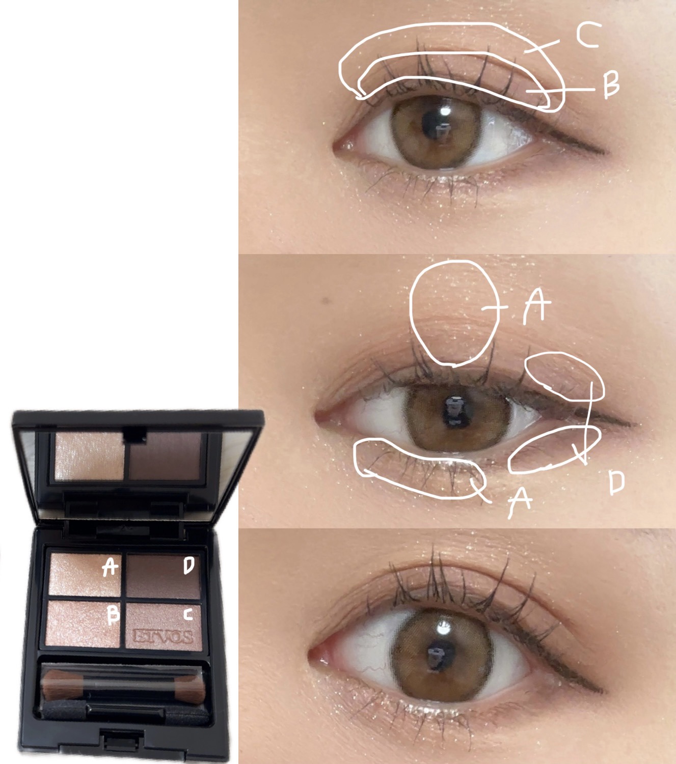 ミネラルクラッシィシャドー/エトヴォス/アイシャドウパレットを使ったクチコミ（2枚目）