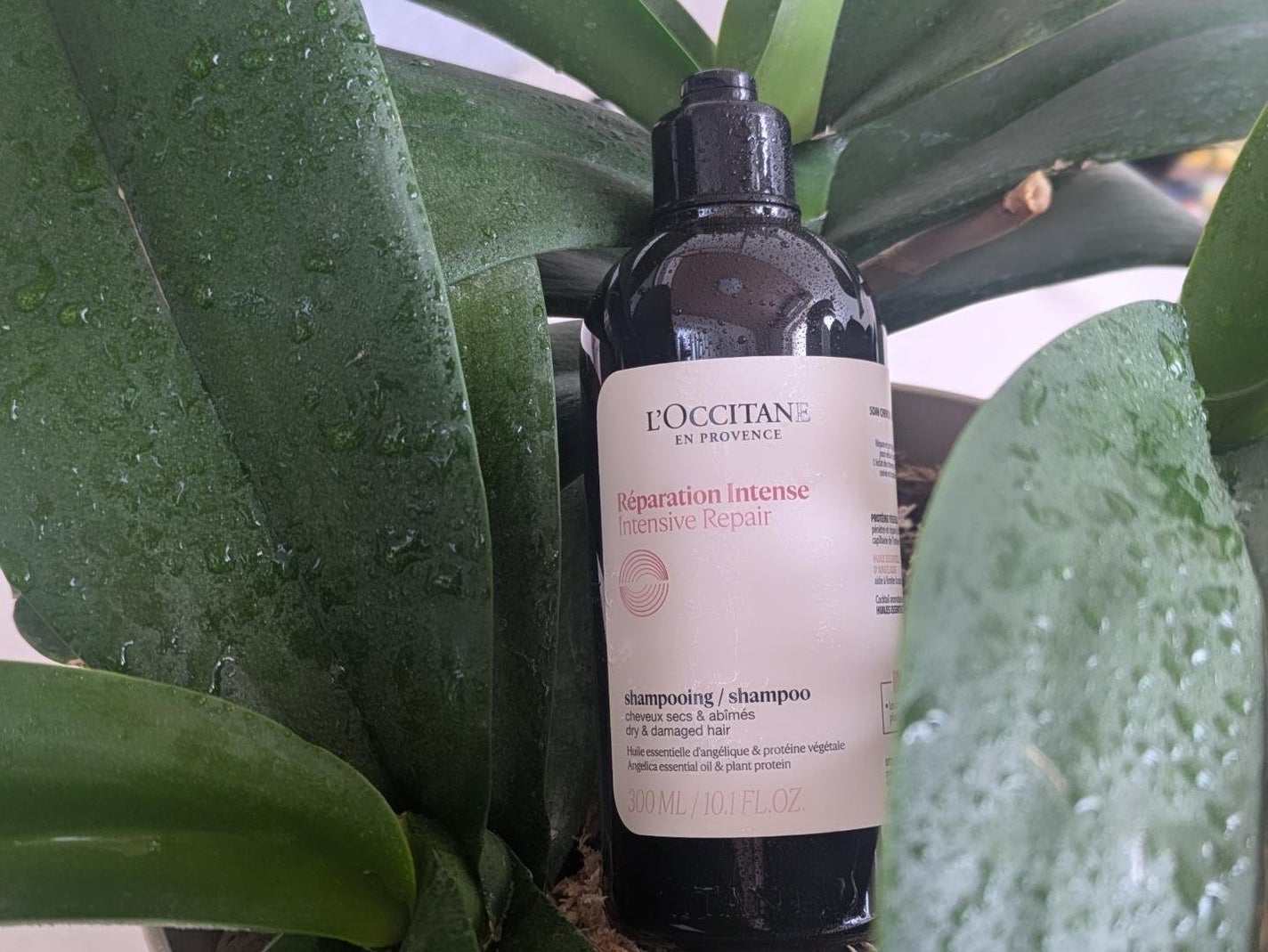 インテンシヴリペア シャンプー/コンディショナー/L'OCCITANE/市販シャンプーを使ったクチコミ(4枚目)