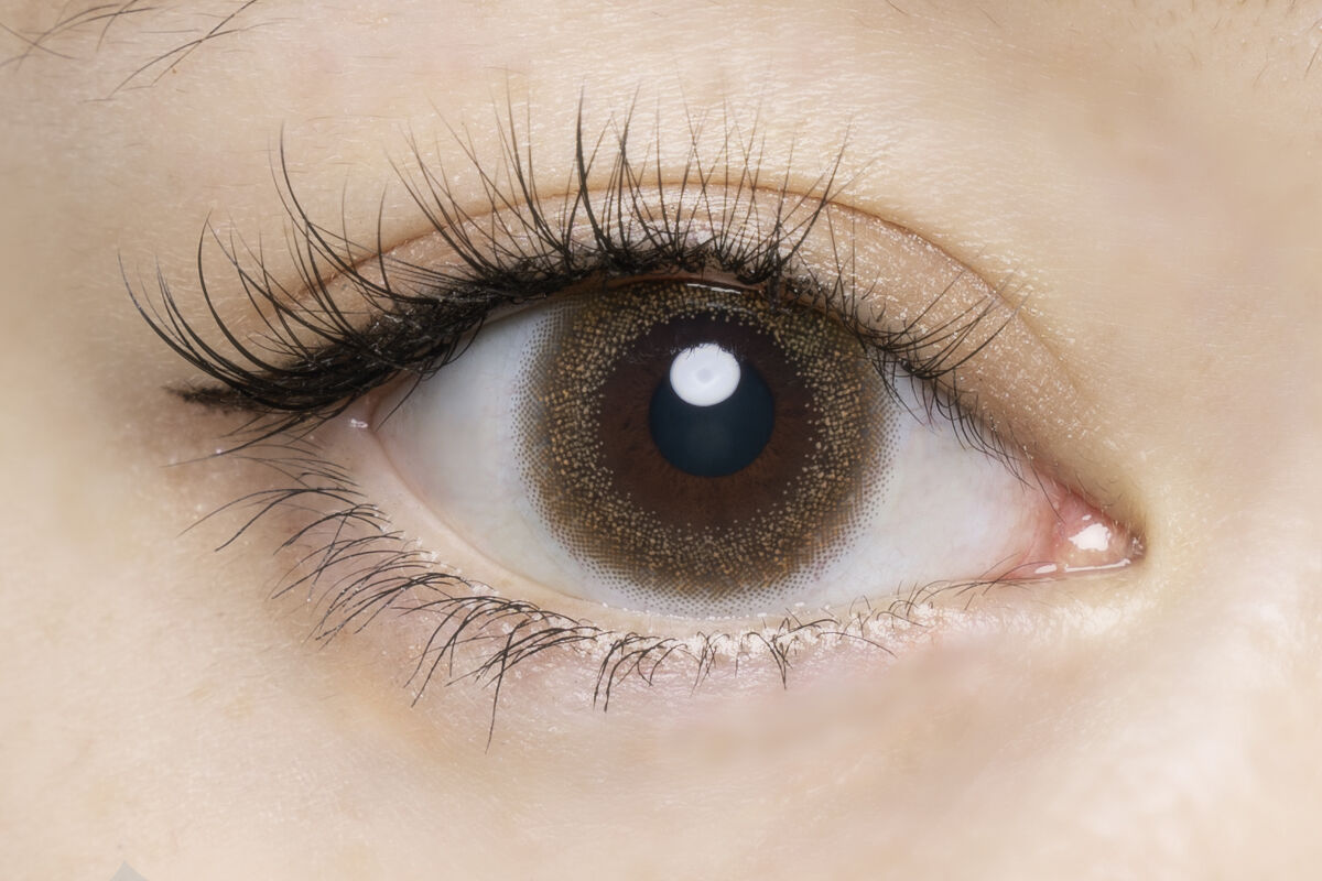 FLANMY 1day ハニートースト