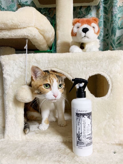 ボタニシャフト 無香料/BOTANISCHAFT/その他を使ったクチコミ(3枚目)