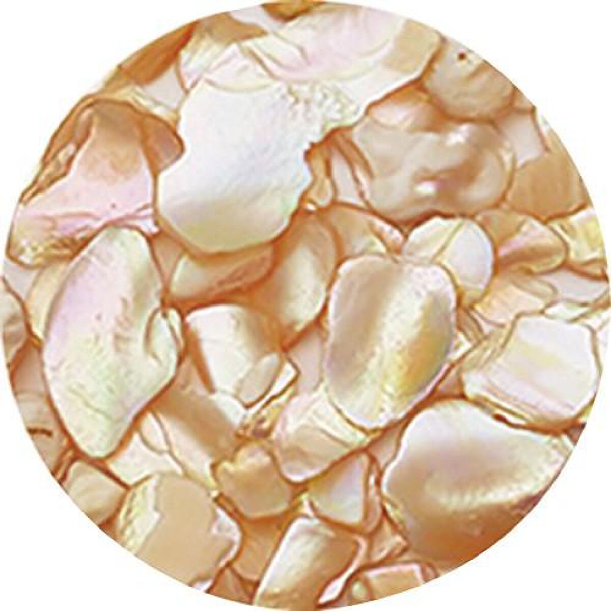 シェルジュエル ベージュ