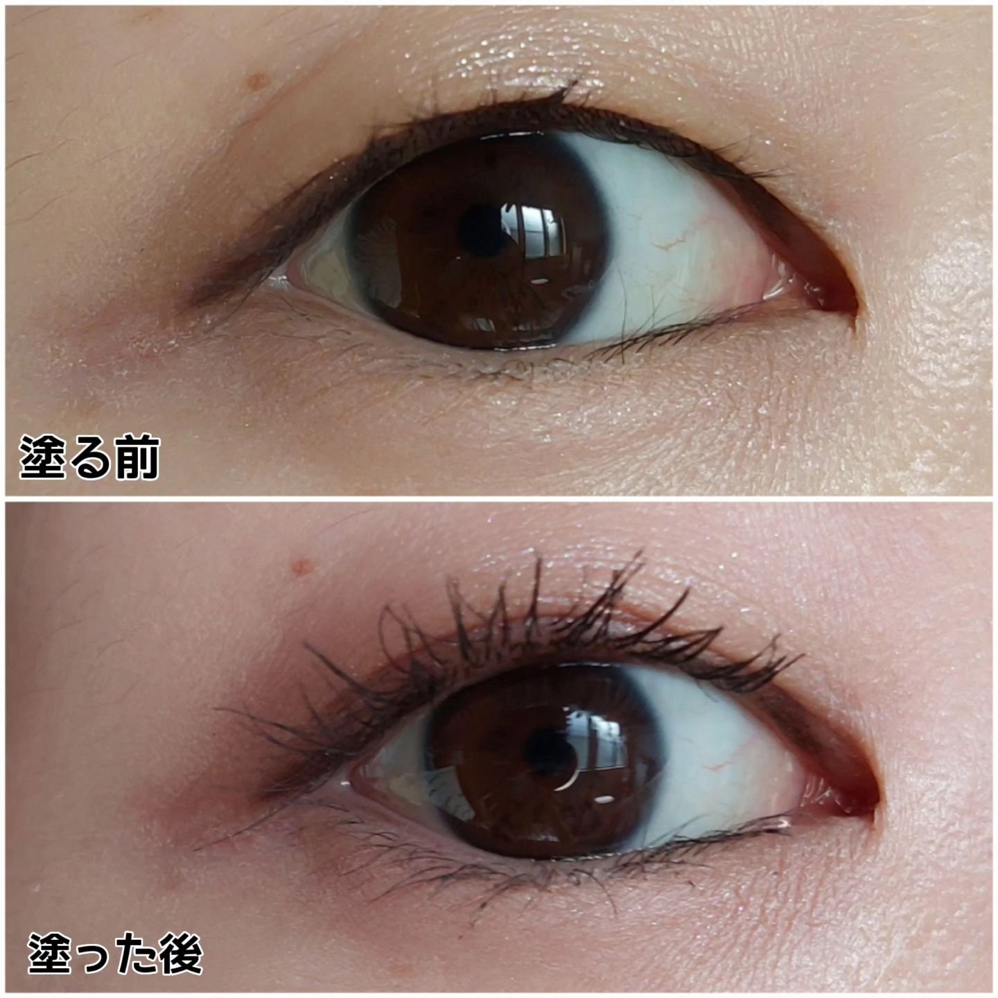 ラッシュニスタ　プライマー/MAYBELLINE NEW YORK/マスカラ下地を使ったクチコミ（3枚目）