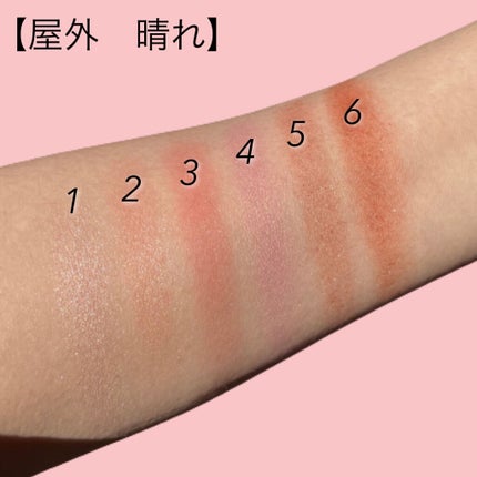 アンラップド ミニアイシャドーパレット ORGASM /NARS/アイシャドウパレットを使ったクチコミ(3枚目)