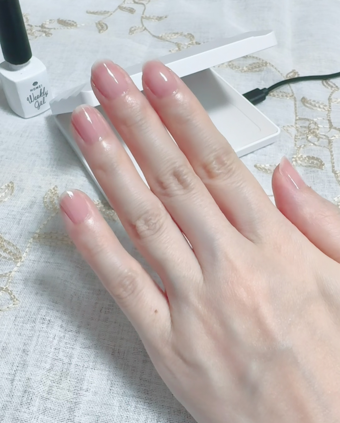 ウィークリージェル WG-11 Antique Rose / HOMEI(ホーメイ) | LIPS