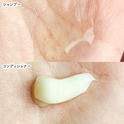 オイルインシャンプー/オイルインコンディショナー (グロス&リペア)/ディアボーテ/市販シャンプーを使ったクチコミ(3枚目)