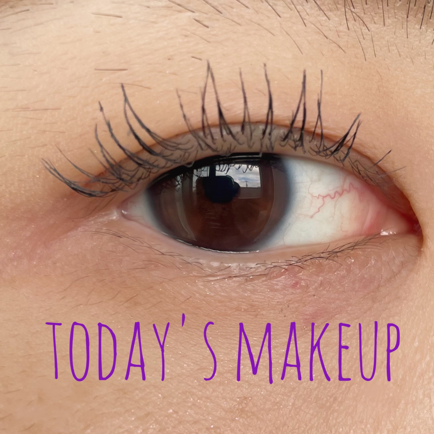 オール テイク ムード パレット(24AD) 【旧】16 Bravo, Pink Puppy!【Maltese archive】/PERIPERA/アイシャドウパレットを使ったクチコミ（1枚目）