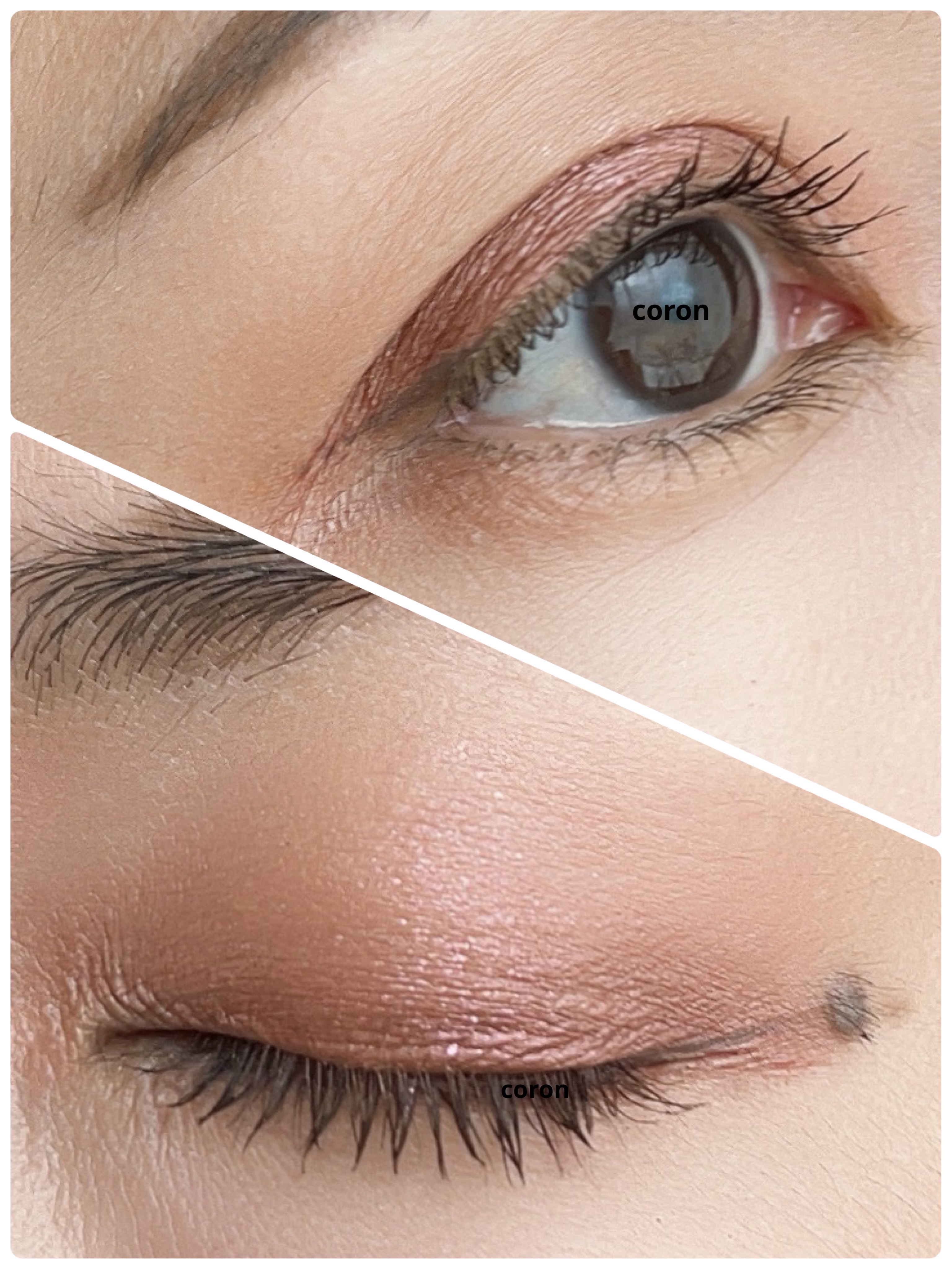 オンブル プルミエール リーブル/CHANEL/単色アイシャドウを使ったクチコミ（2枚目）