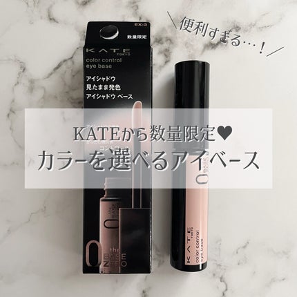 ケイト カラーコントロールアイベース/KATE/アイシャドウベースを使ったクチコミ(1枚目)