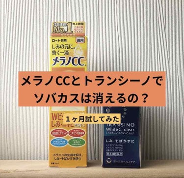 ホワイトCクリア(医薬品)/トランシーノ/その他を使ったクチコミ（1枚目）