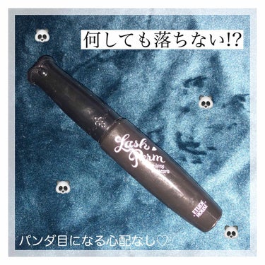 ETUDE アイロング ラッシュマスカラのクチコミ「🥀エチュードハウス アイロングラッシュマスカラ （¥980）



୨୧-----------.....」（1枚目）