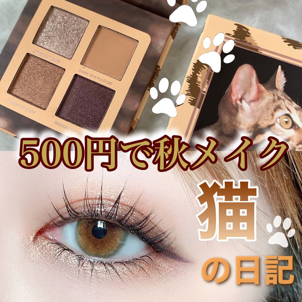 「密着アイライナー」クリームペンシル/デジャヴュ/ペンシルアイライナーを使ったクチコミ（1枚目）