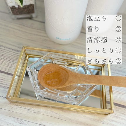 シャンプー/トリートメント SN さらさら/CLAYGE/シャンプー・コンディショナーを使ったクチコミ(2枚目)