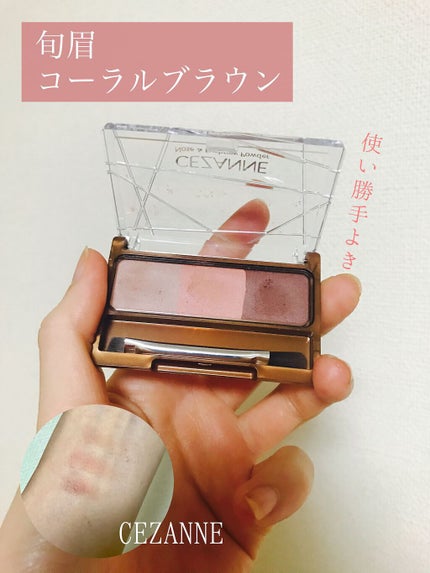 ノーズ&アイブロウパウダー/CEZANNE/パウダーアイブロウを使ったクチコミ(1枚目)