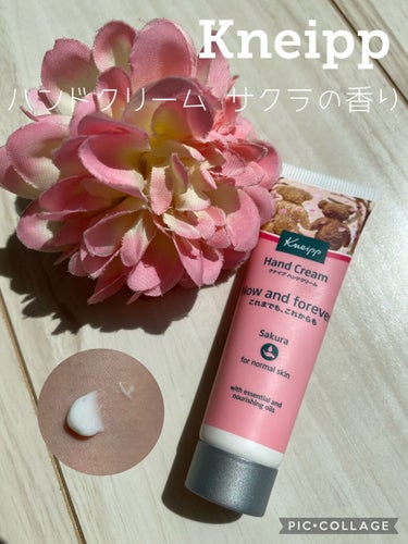 クナイプ ハンドクリーム サクラの香り 20ml/クナイプ/ハンドクリームを使ったクチコミ（1枚目）