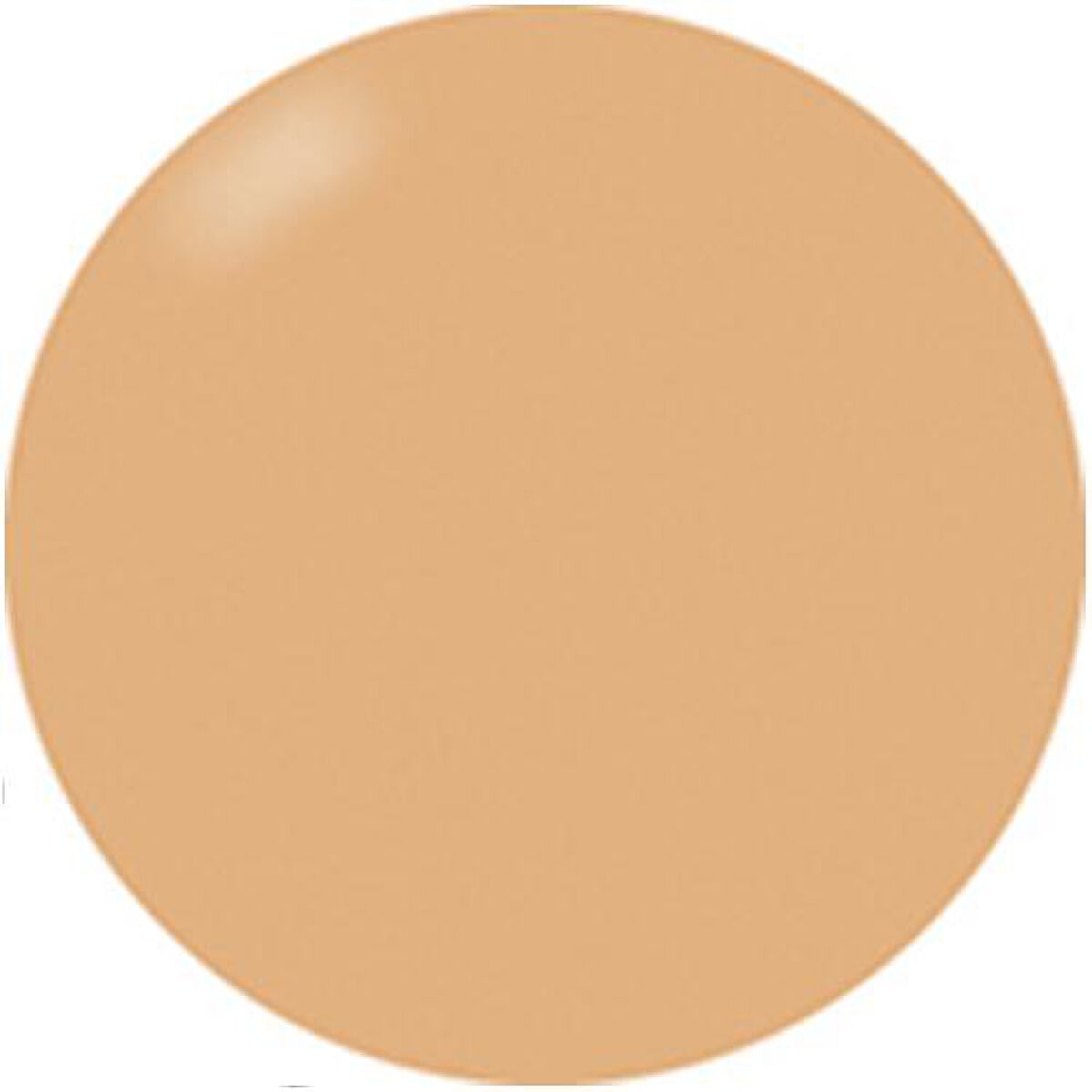 ブラッシュオンカラージェル 203