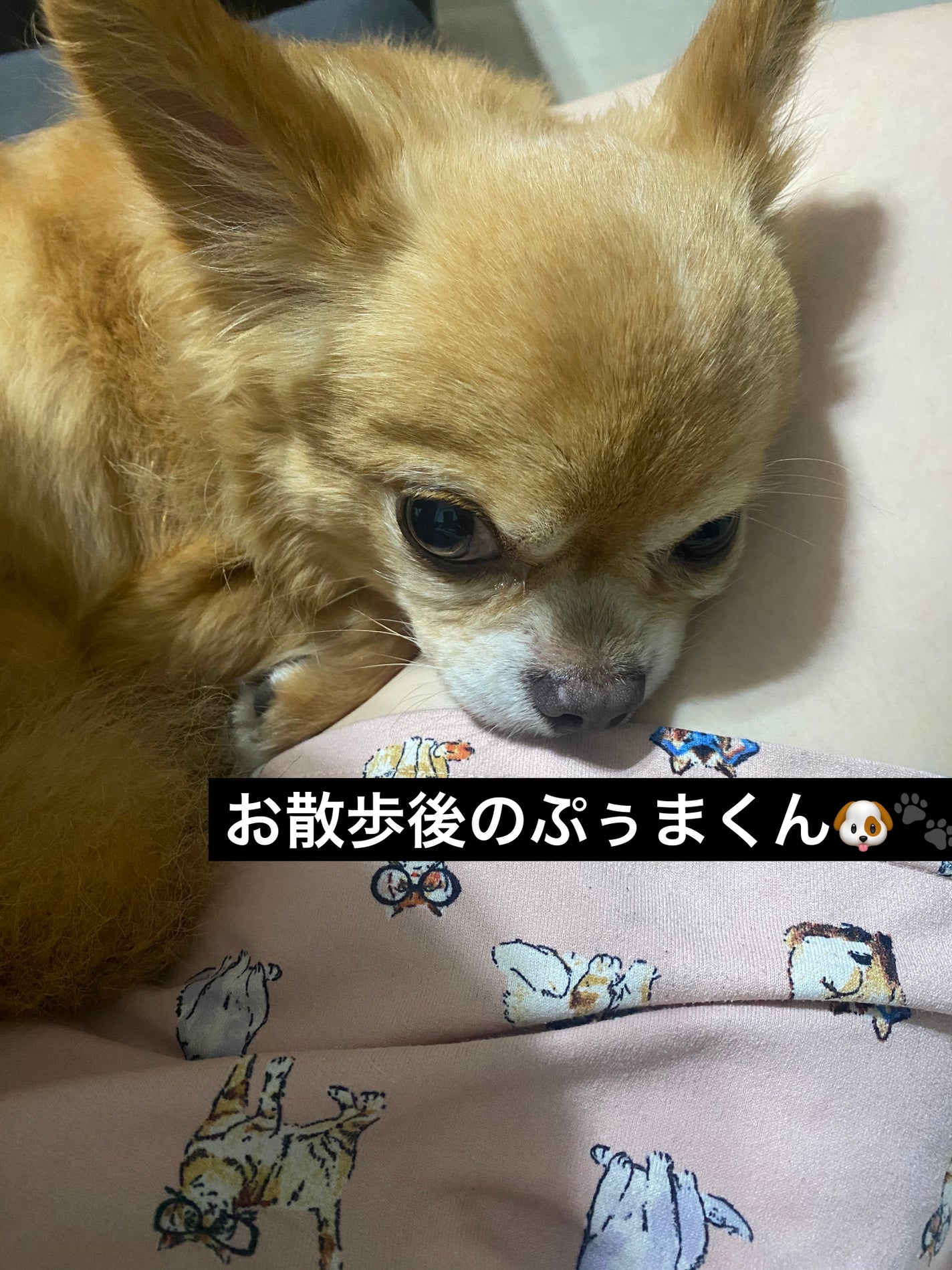 ライトリフレクティング プリズマティックパウダー/NARS/プレストパウダーを使ったクチコミ(5枚目)