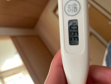 ãã¬ã°ã©ã³ã¹ ãã¢ïŒããã£ãã¹ã/ãã«ãã§ã¿ã ãŒã« ãµãã³ãµãã³/éŠæ°Ž(ãã®ä»)ã䜿ã£ãã¯ãã³ãïŒ1æç®ïŒ