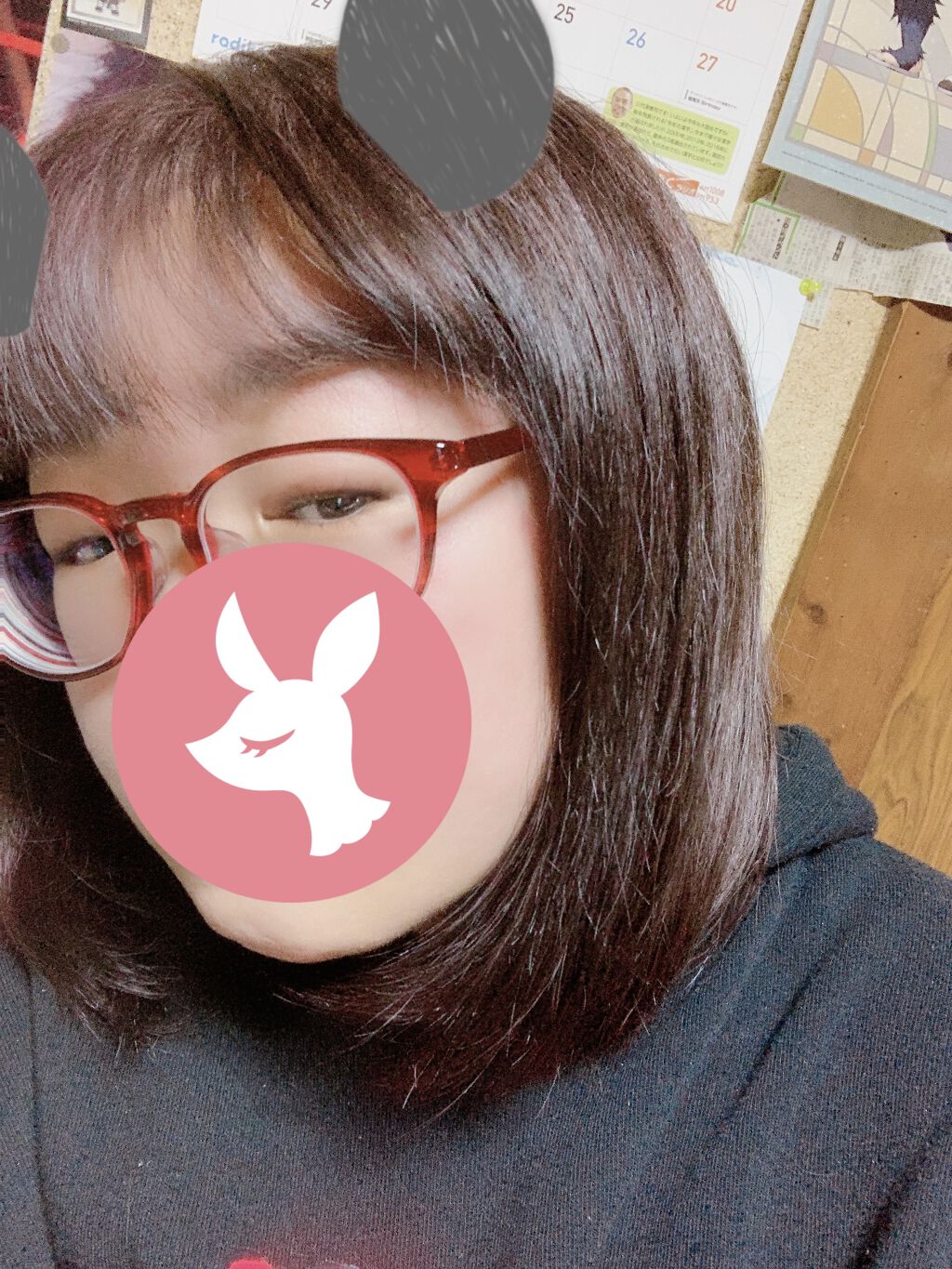 まっすぐアイロン用エッセンス/SALA/ヘアミストを使ったクチコミ（2枚目）