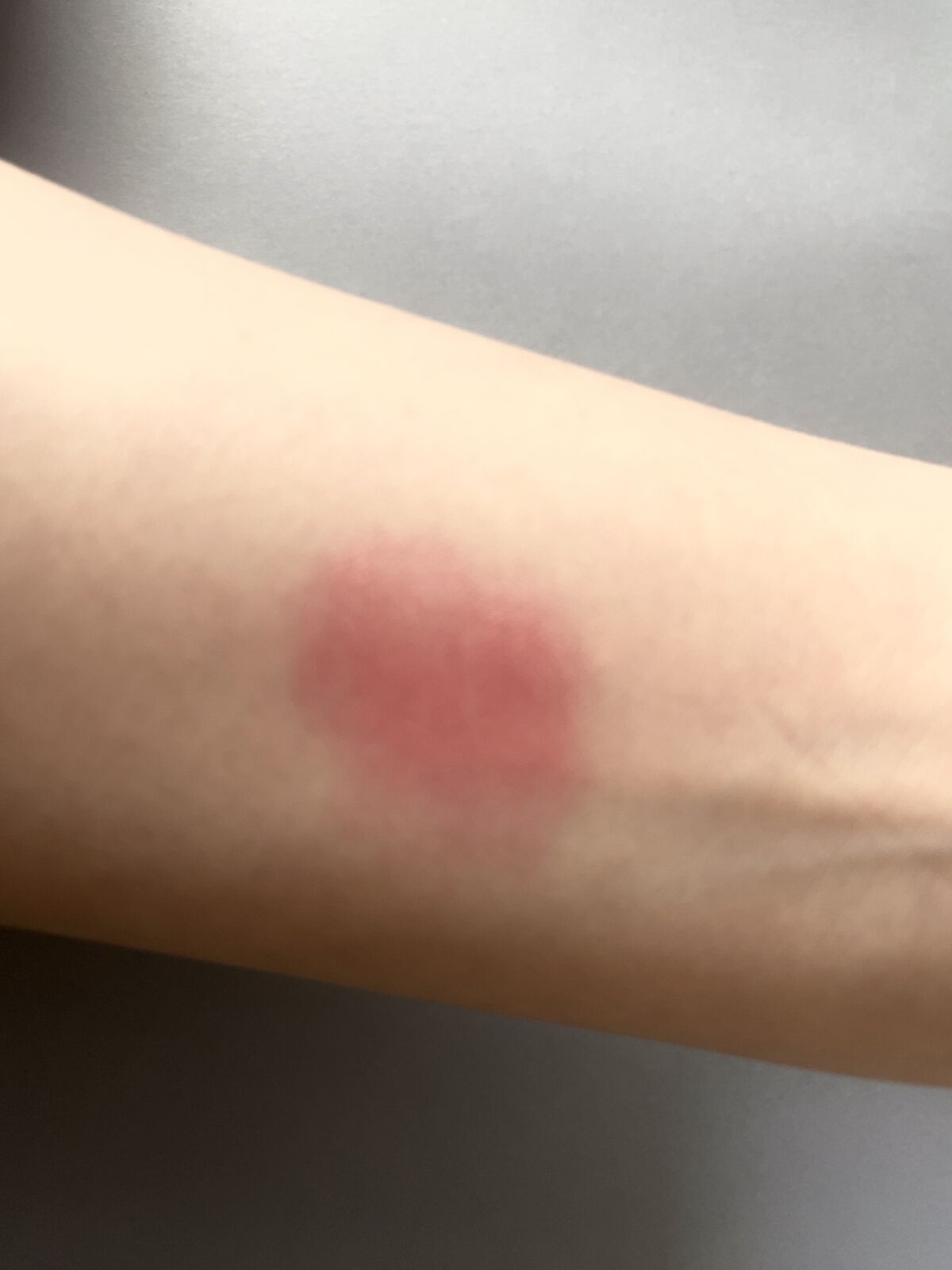 ケイト リップモンスター/KATE/口紅を使ったクチコミ（2枚目）