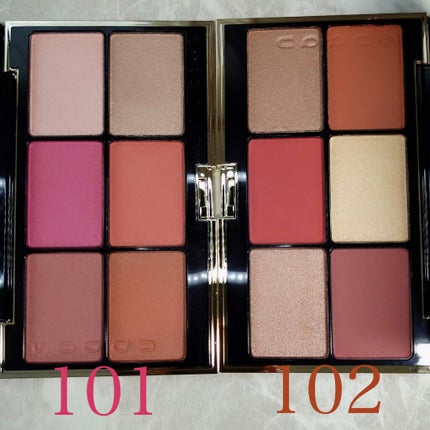 デザイニング カラー アイズ/SUQQU/アイシャドウパレットを使ったクチコミ(6枚目)