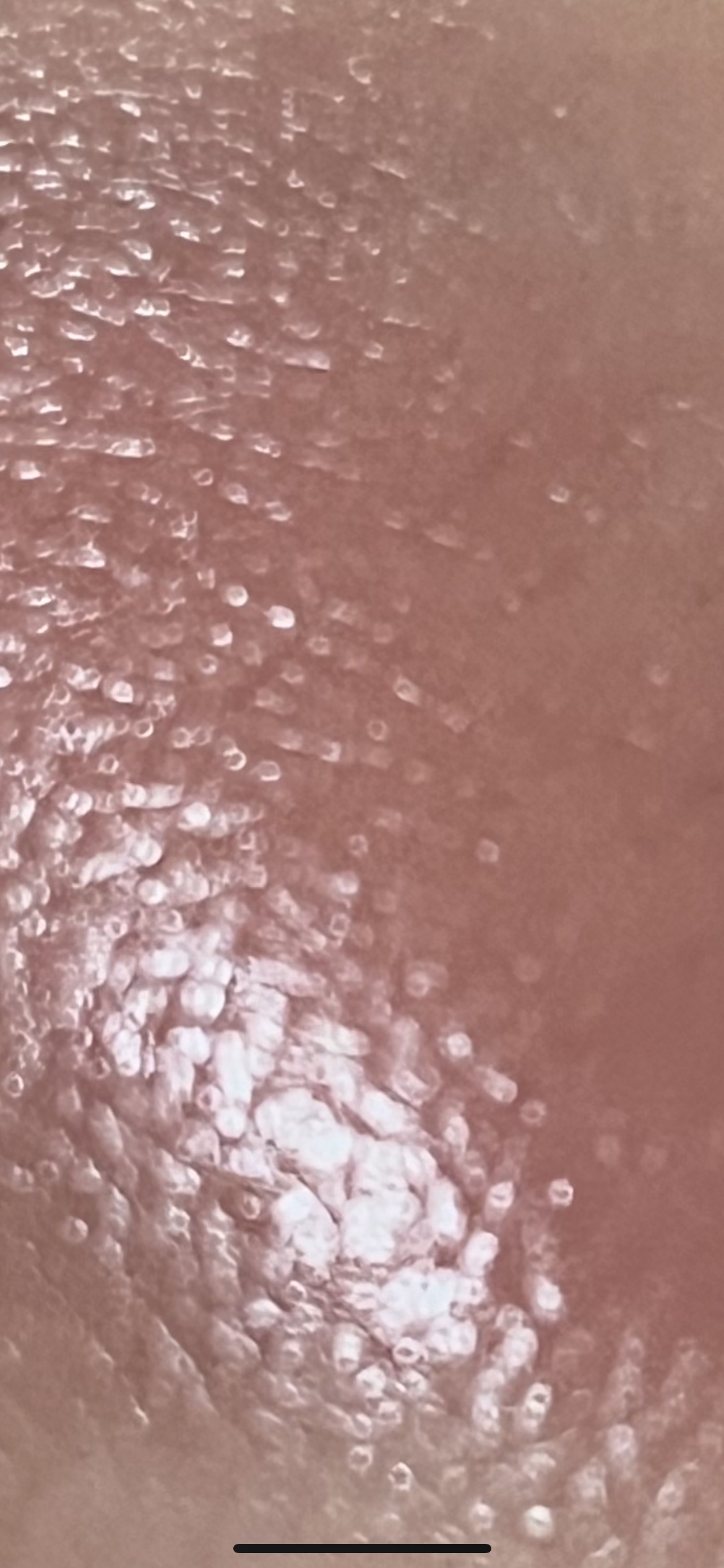 アライジングスピリットリップグロー/THREE/口紅を使ったクチコミ（2枚目）