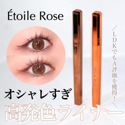 アイライナー/Étoile Rose/リキッドアイライナーを使ったクチコミ(1枚目)