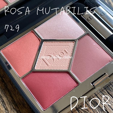 Dior
サンク クルール クチュール
729　ローザ ムタビリス

────────────

無条件で
かわいいピンクの集合体💖
ローザ ムタビリスは
そんなアイシャドウ✨

上段2色と真ん中がシマ