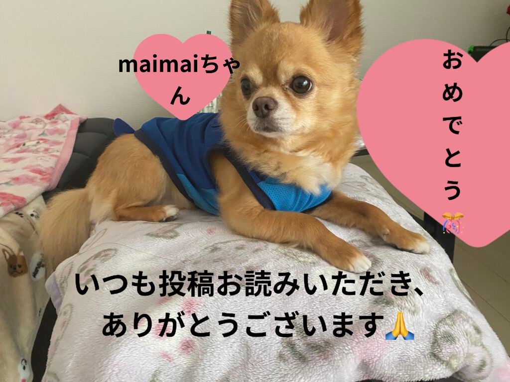 ミニネイル/パラドゥ/マニキュアを使ったクチコミ(7枚目)