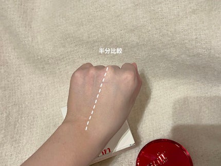 プロテーラービーベルベットカバークッション/espoir/クッションファンデーションを使ったクチコミ(4枚目)