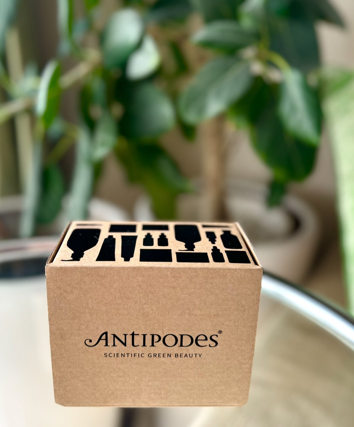 アンティポディース スーパーナチュラル SPF50+ フェイシャル サンスクリーン/Antipodes/日焼け止めクリームを使ったクチコミ(3枚目)