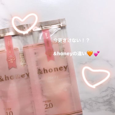 ディープモイスト シャンプー1.0／ヘアトリートメント2.0/&honey/シャンプー・コンディショナーを使ったクチコミ（1枚目）