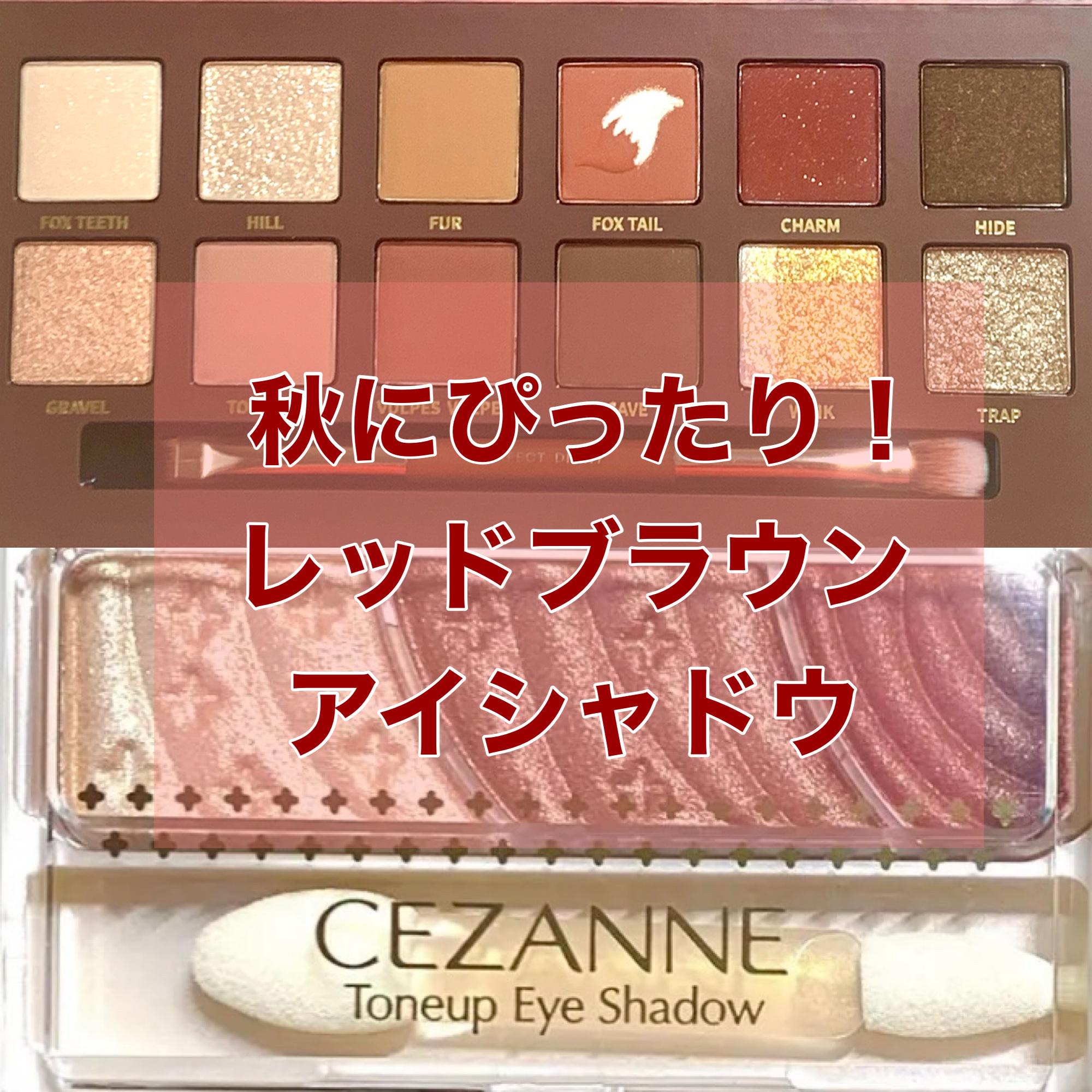 トーンアップアイシャドウ/CEZANNE/アイシャドウパレットを使ったクチコミ（1枚目）