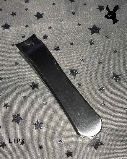 ステンレス 爪切り 大/DAISO/ネイル用品を使ったクチコミ(1枚目)