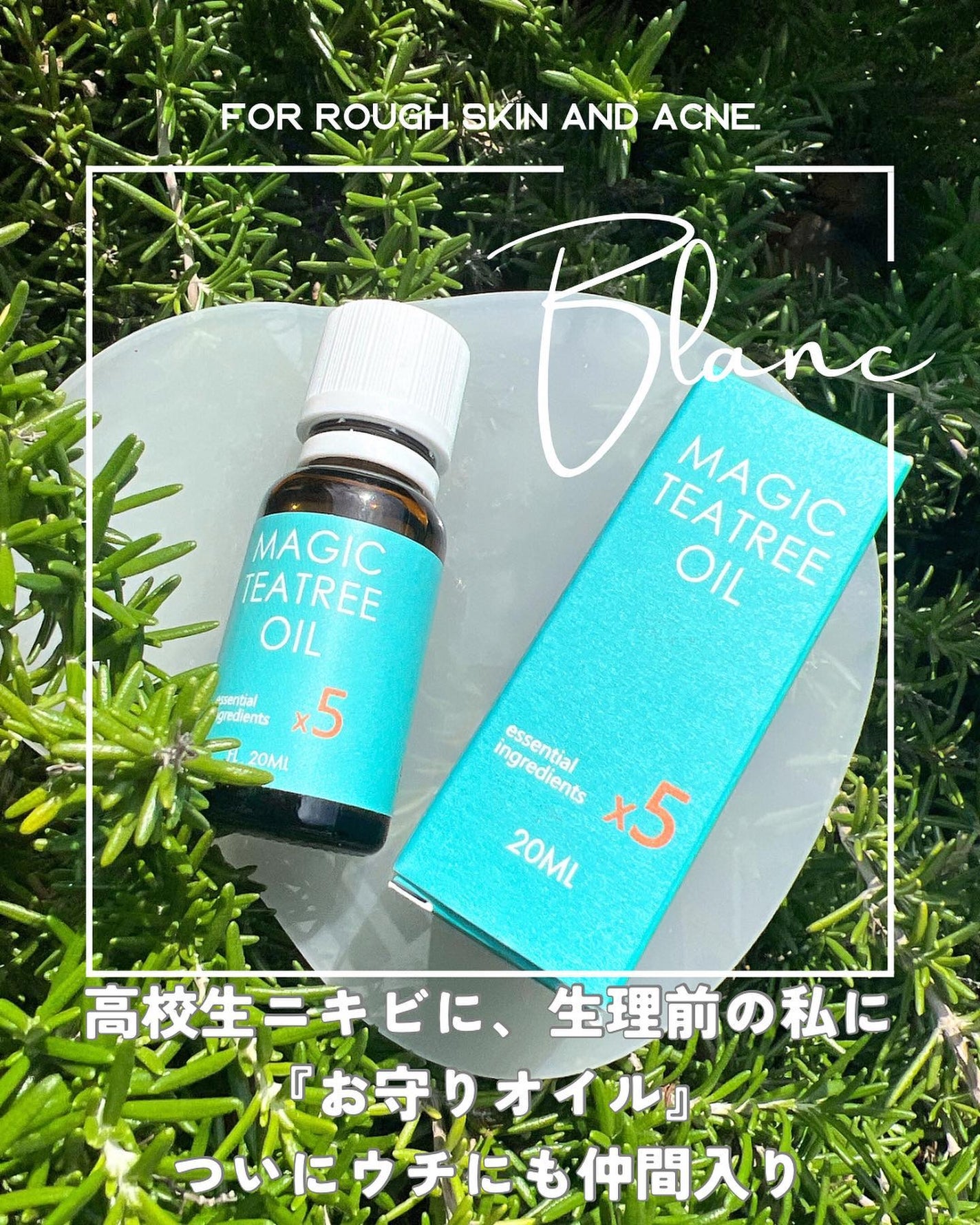 ok.mama33 on LIPS ãBLANCð¿ãããèèãã®æ¹è©ŠããŠã¿ãŠã»ããã§ãð¿ãããããå®..ãïŒ8æç®ïŒ