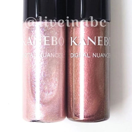 デジタルニュアンサー EXD2 Rosy Lizard/KANEBO/ジェル・クリームアイシャドウを使ったクチコミ(3枚目)