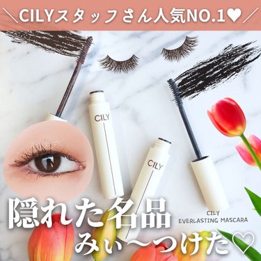 エバーラスティングマスカラ  #JELLY BROWN/CILY/マスカラを使ったクチコミ（1枚目）