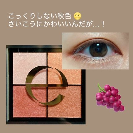 リアルクローズシャドウ/excel/アイシャドウパレットを使ったクチコミ(1枚目)