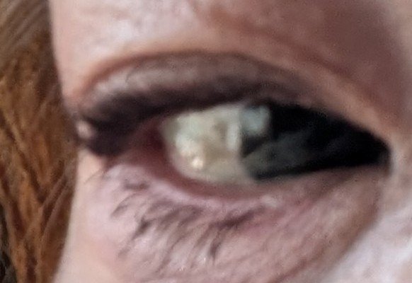 ラスティングリキッドライナー/キャンメイク/リキッドアイライナーを使ったクチコミ（2枚目）