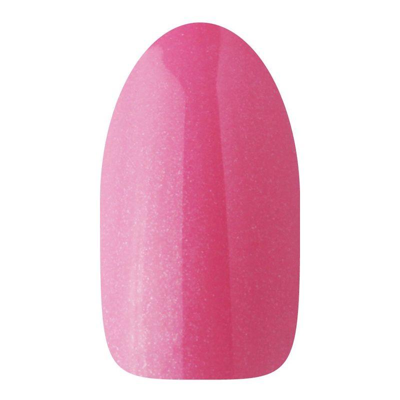 146 ミス・カラーリリィ