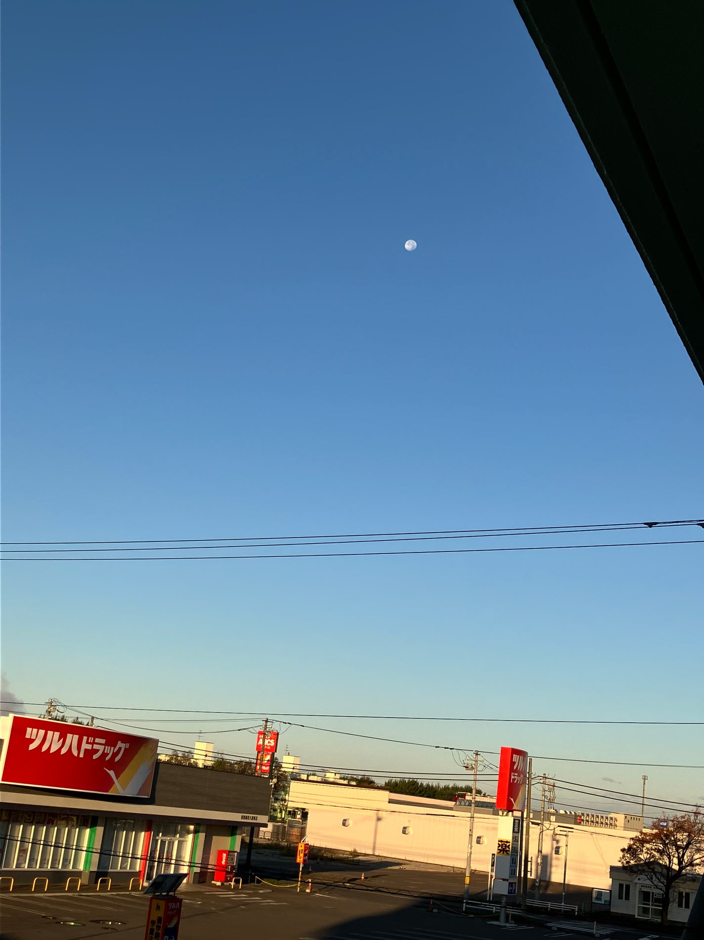 suzutan on LIPS 「今日の朝、ベランダに洗濯物を干していたら、空にまだ月があり、と..」(2枚目)