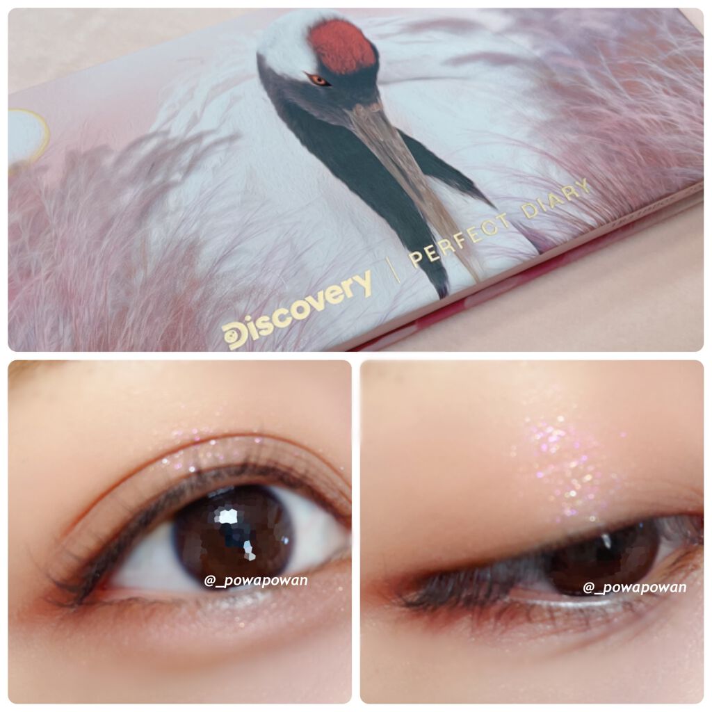 エクスプローラ12色 動物アイシャドウパレット/PERFECT DIARY/アイシャドウパレットを使ったクチコミ（1枚目）