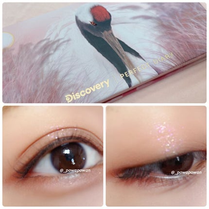 エクスプローラ12色 動物アイシャドウパレット/PERFECT DIARY/アイシャドウパレットを使ったクチコミ(1枚目)