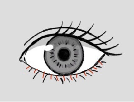 ラッシュジェリードロップ EX/MAJOLICA MAJORCA/まつげ美容液を使ったクチコミ(1枚目)