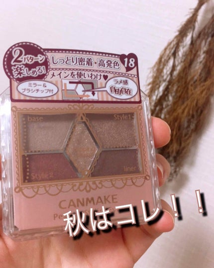 【旧品】パーフェクトスタイリストアイズ/キャンメイク/アイシャドウパレットを使ったクチコミ(1枚目)
