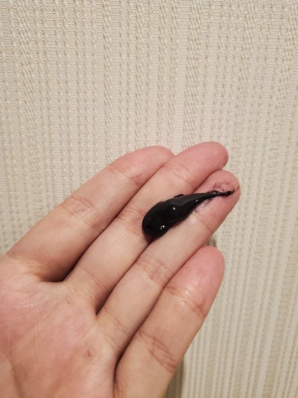 クレイスパ カラートリートメント/clayence/ヘアカラーを使ったクチコミ(2枚目)