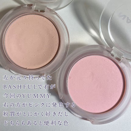 ネーミング フラッフィーパウダーブラッシュ/NAMING./パウダーチークを使ったクチコミ(3枚目)